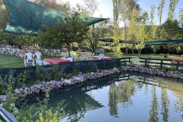 Asil Cafe &amp; Kahvaltı Gözleme Evi - Resim 5