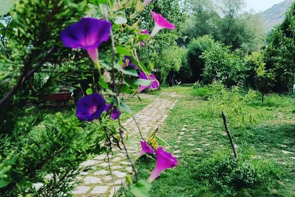 Asil Cafe &amp; Kahvaltı Gözleme Evi - Resim 18