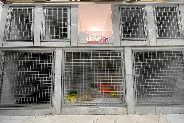 GÜL VETERİNER KLİNİĞİ - Resim 4