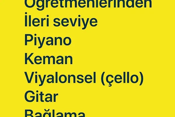 Atakent Arya Emrah Oymak Müzik Okulu - Resim 15