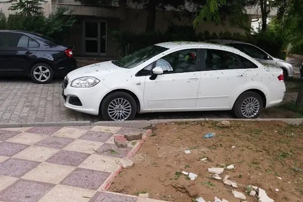 OSMAN GÖNCÜ RENT A CAR - Resim 10