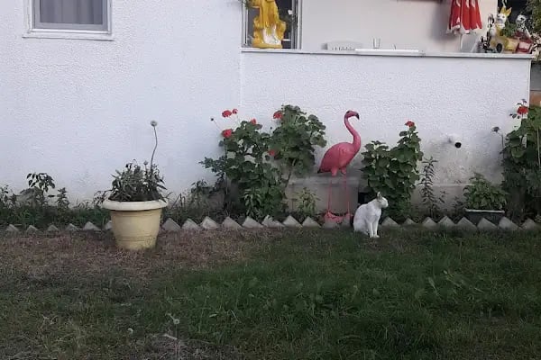 BAŞKENT TATİL SİTESİ - Resim 8