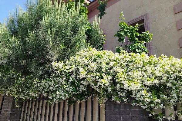 Filistin Devleti İstanbul Başkonsolosluğu - Resim 20