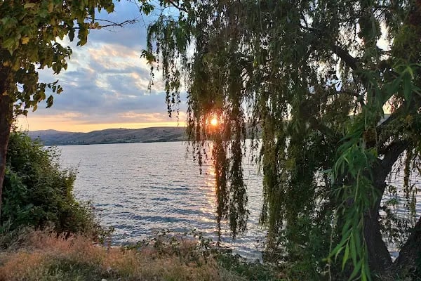 Boğazköy İlkokulu - Resim 16