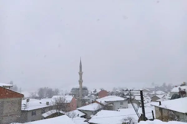 Boğazköy İlkokulu - Resim 9
