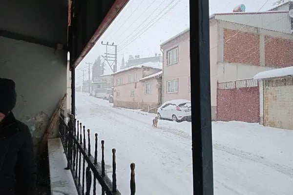 Boğazköy İlkokulu - Resim 5
