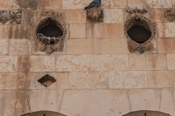 Nahıl Misafirevi Şanlıurfa - Resim 12
