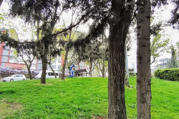 Aşık Veysel Parkı - Resim 9