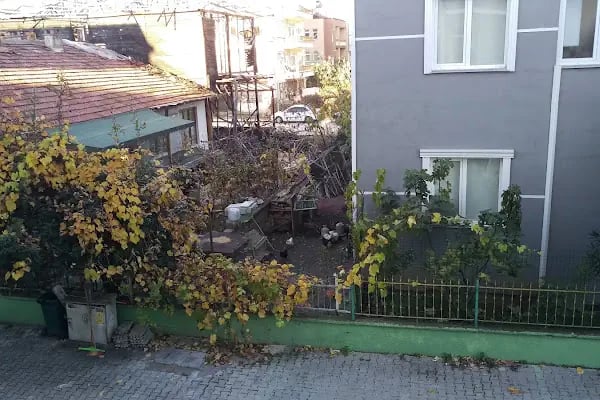 SAMSUN BLUE DOLPHİN HOTEL - Resim 13