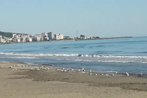 SAMSUN BLUE DOLPHİN HOTEL - Resim 15