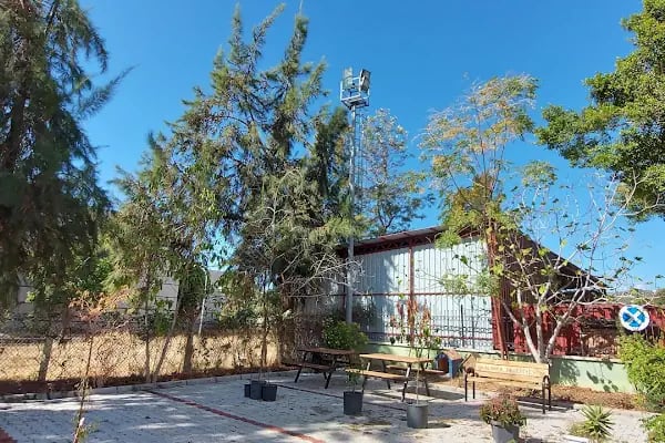 Alanya Olimpik Yüzme Havuzu - Resim 19