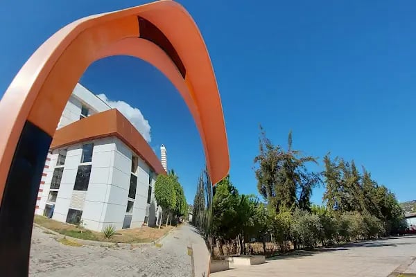 Alanya Olimpik Yüzme Havuzu - Resim 12