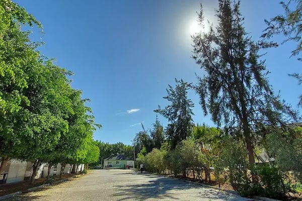 Alanya Olimpik Yüzme Havuzu - Resim 5