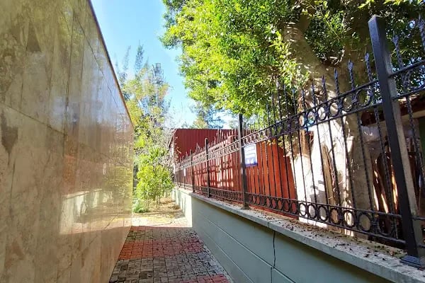 Alanya Olimpik Yüzme Havuzu - Resim 17