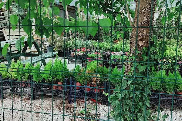 HENDEK GARDENYA ÇİÇEKÇİLİK VE PEYZAJ - Resim 12