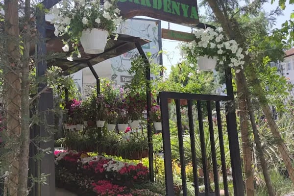 HENDEK GARDENYA ÇİÇEKÇİLİK VE PEYZAJ - Resim 2