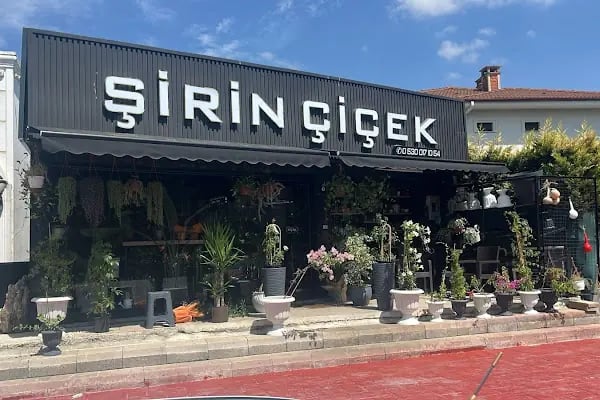 Şirin Çiçek Serdivan - Resim 2