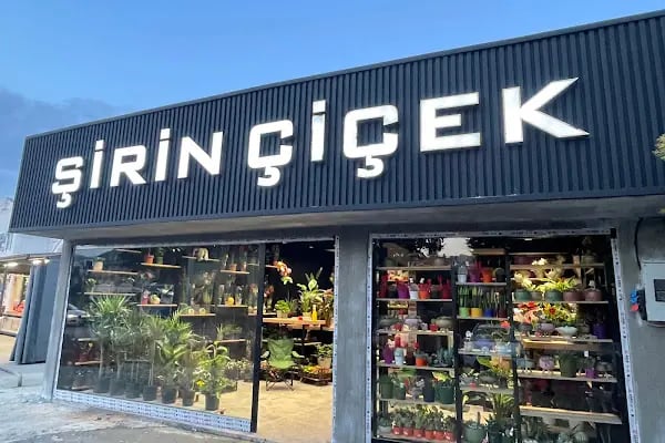 Şirin Çiçek Serdivan - Resim 8
