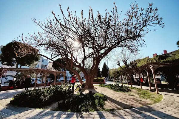 Kılıçreis İhsan Alyanak Parkı - Resim 4
