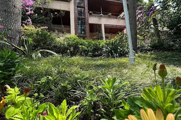 Dream Mansion - Resim 14
