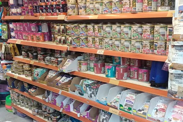 petshop tarçın - Resim 5