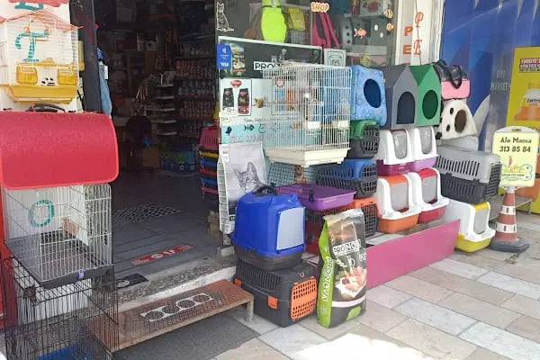petshop tarçın - Resim 6