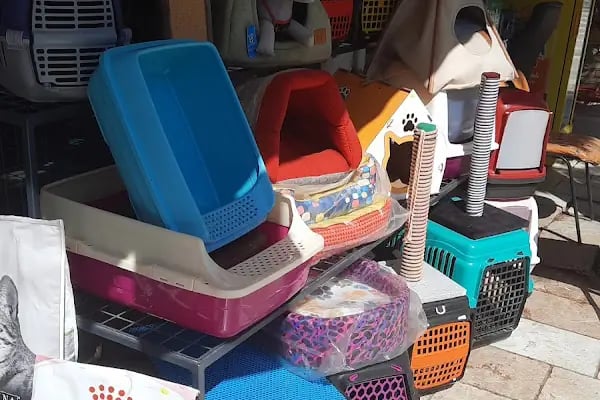 petshop tarçın - Resim 13