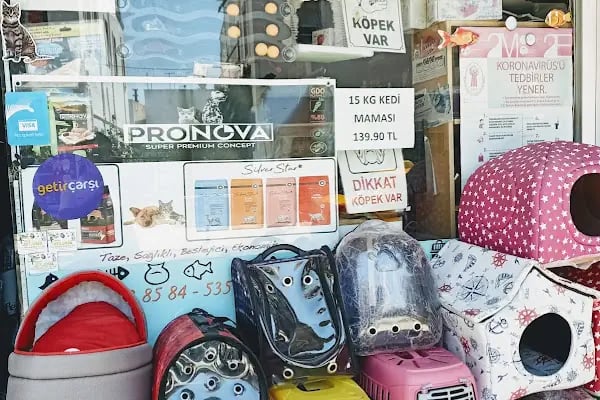 petshop tarçın - Resim 4