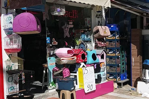 petshop tarçın - Resim 18