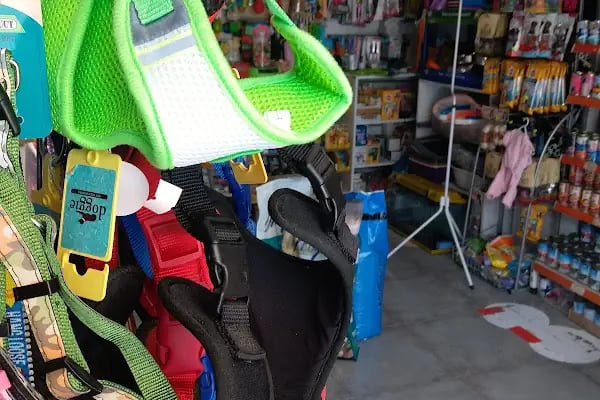 petshop tarçın - Resim 8