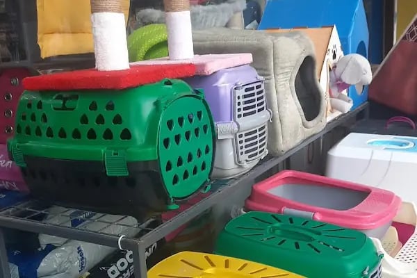 petshop tarçın - Resim 7