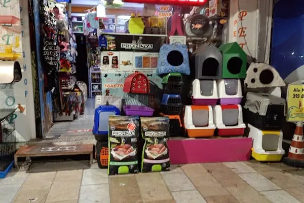 petshop tarçın - Resim 9