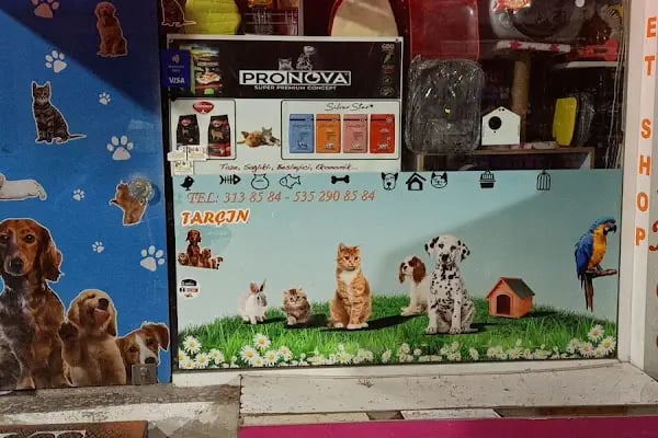 petshop tarçın - Resim 12