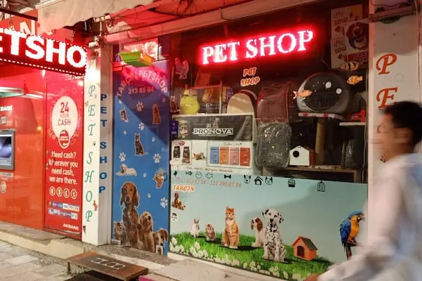 petshop tarçın - Resim 15