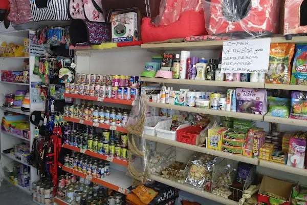 petshop tarçın - Resim 20