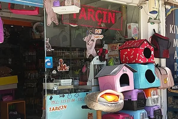 petshop tarçın - Resim 19
