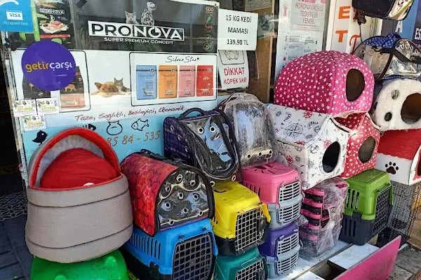 petshop tarçın - Resim 16