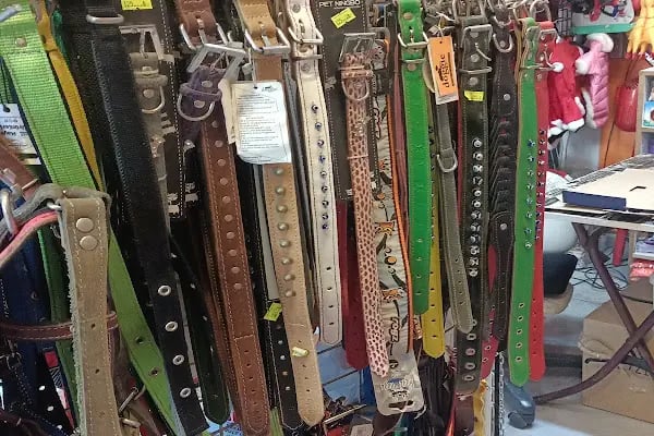 petshop tarçın - Resim 11