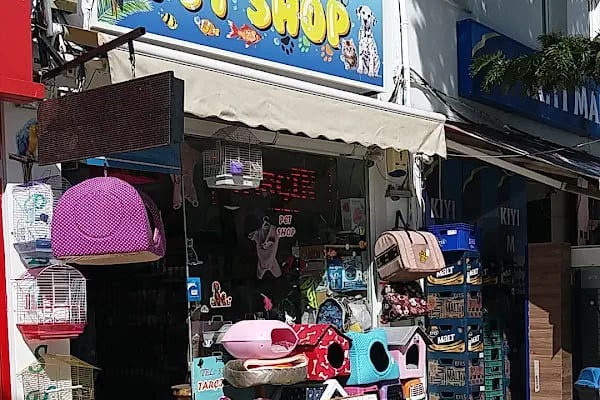 petshop tarçın - Resim 14