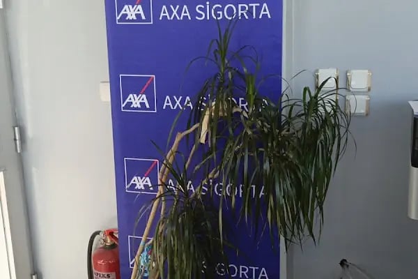 Anadolu Sigorta Sakarya | Sakarya Asrın Sigorta - DASK - Neova Sigorta - Türkiye Sigorta - AXA Sigorta - Doğum Sigortası - Resim 9