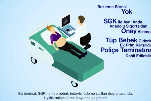 Anadolu Sigorta Sakarya | Sakarya Asrın Sigorta - DASK - Neova Sigorta - Türkiye Sigorta - AXA Sigorta - Doğum Sigortası - Resim 12