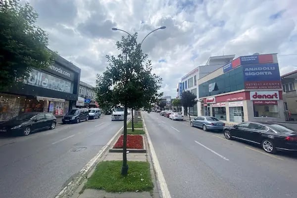 Anadolu Sigorta Sakarya | Sakarya Asrın Sigorta - DASK - Neova Sigorta - Türkiye Sigorta - AXA Sigorta - Doğum Sigortası - Resim 17