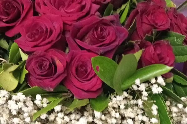 Avcılar Çiçekçi - Gardenia Çiçekçilik - Resim 6