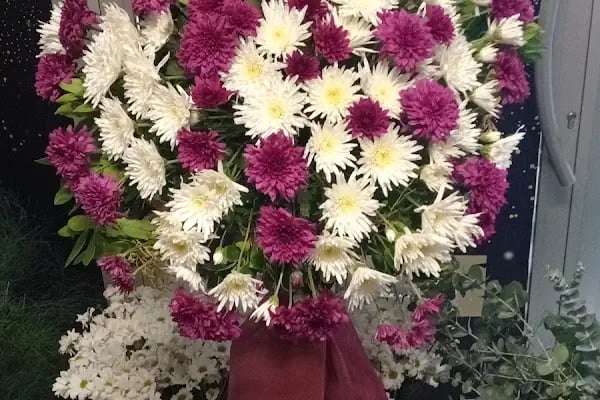 Avcılar Çiçekçi - Gardenia Çiçekçilik - Resim 13