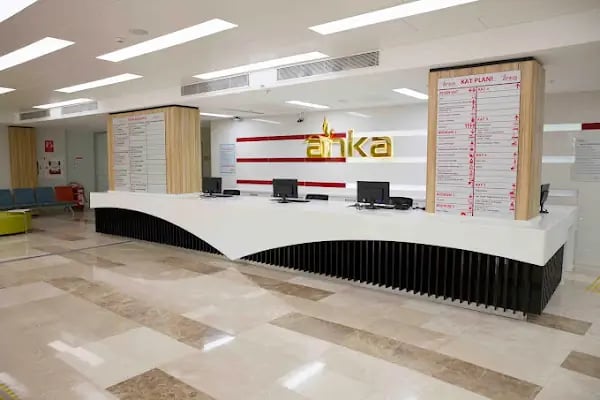 Gaziantep Fue Saç Ekim - Docshair Arif UĞUR - Resim 5