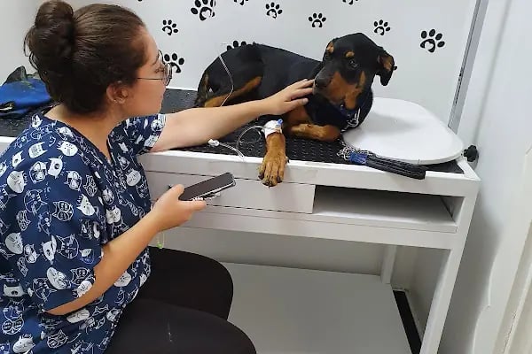 Ada-Vet Veteriner Kliniği Gaziantep - Resim 2