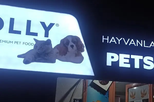 Hayvanlar Alemi Pet shop (Adnan Menderes/Dutluk/Keçiören/ANKARA) - Resim 4