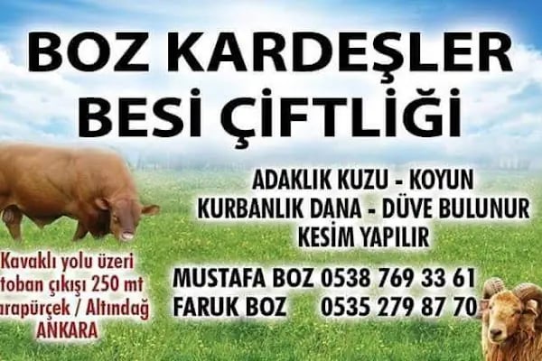 BOZ KARDEŞLER ADAK KURBAN - Resim 12
