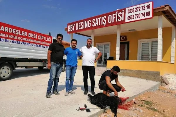 BOZ KARDEŞLER ADAK KURBAN - Resim 3
