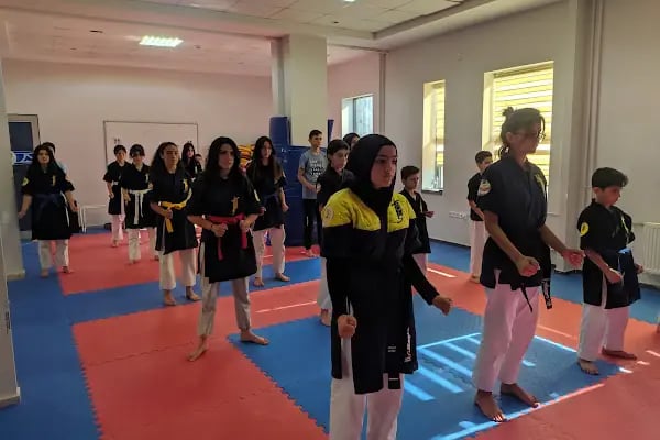 SAYOKAN ALTIN AKADEMİ ALPLIK OKULU - Resim 2